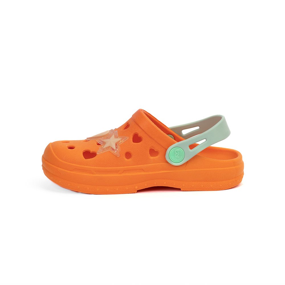 crocs (1)